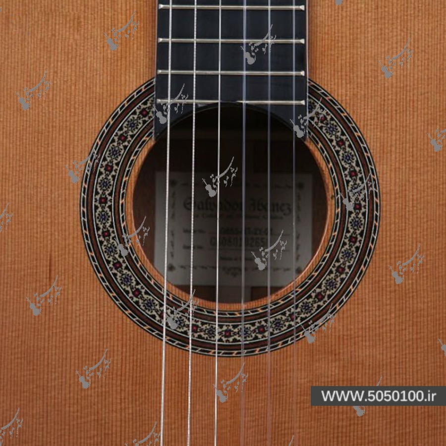 گیتار کلاسیک آیبانز مدل G850-NT