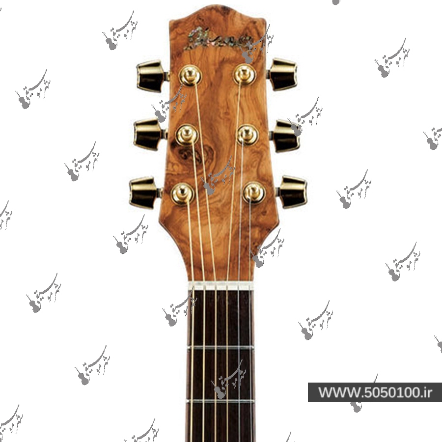 گیتار آکوستیک آیبانز مدل EW35-ABE-NT