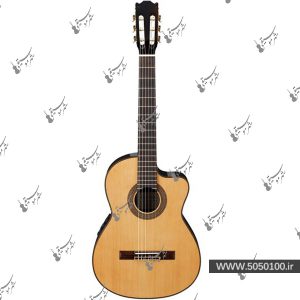 گیتار کلاسیک آیبانز مدل G200-ECE-NT