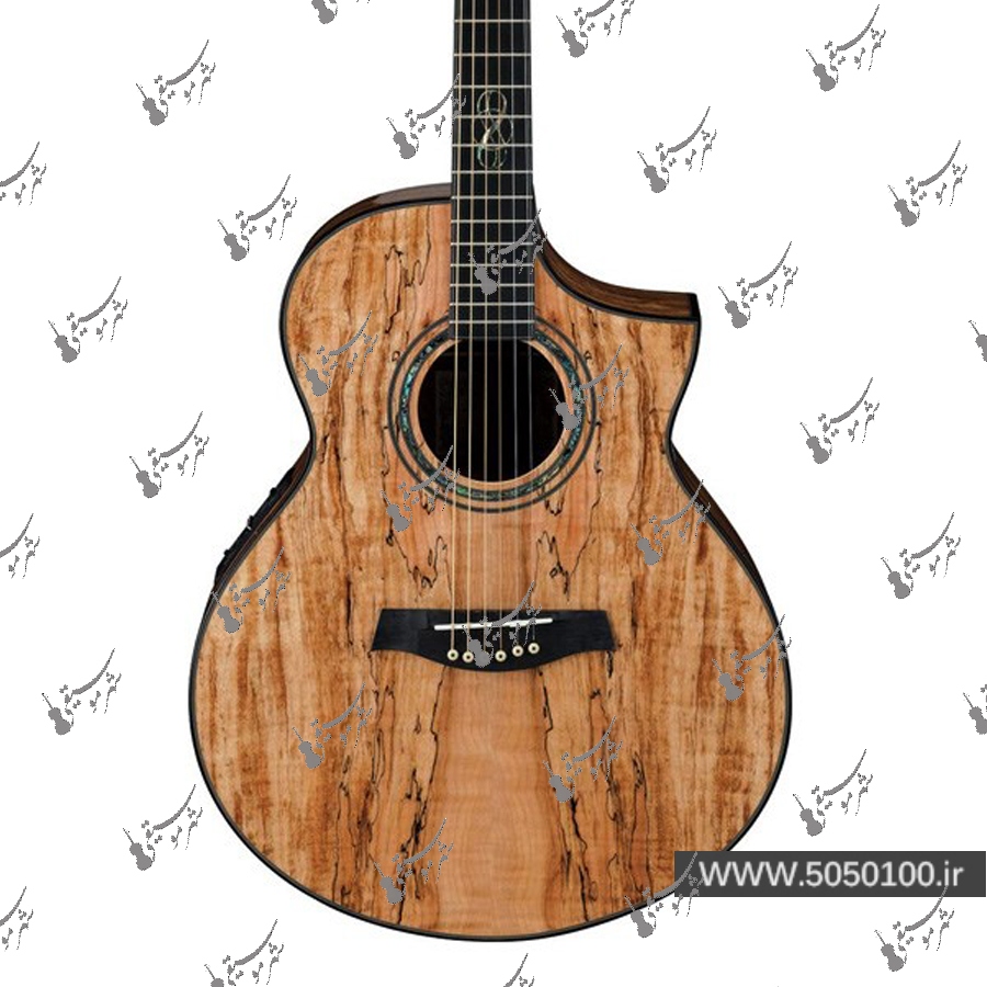 گیتار آکوستیک آیبانز مدل EW-50-SME-NT