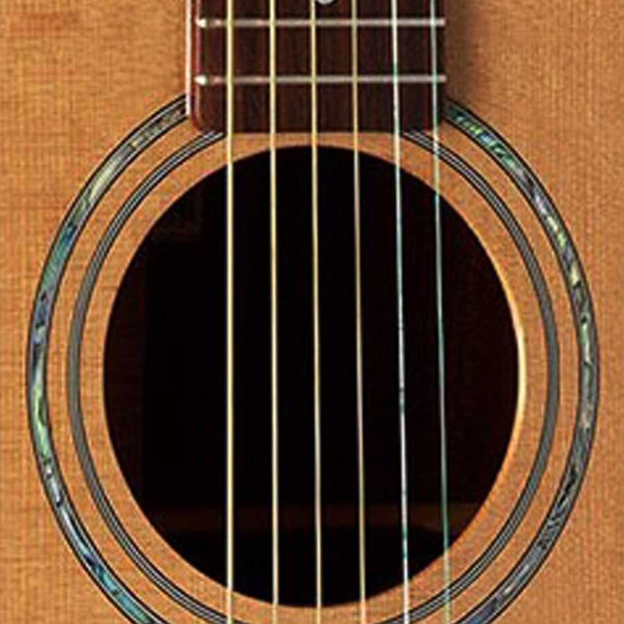 گیتار آکوستیک الحمبرا مدل W100