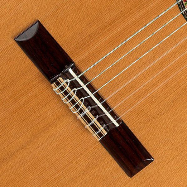 گیتار کلاسیک الحمبرا مدل 10P