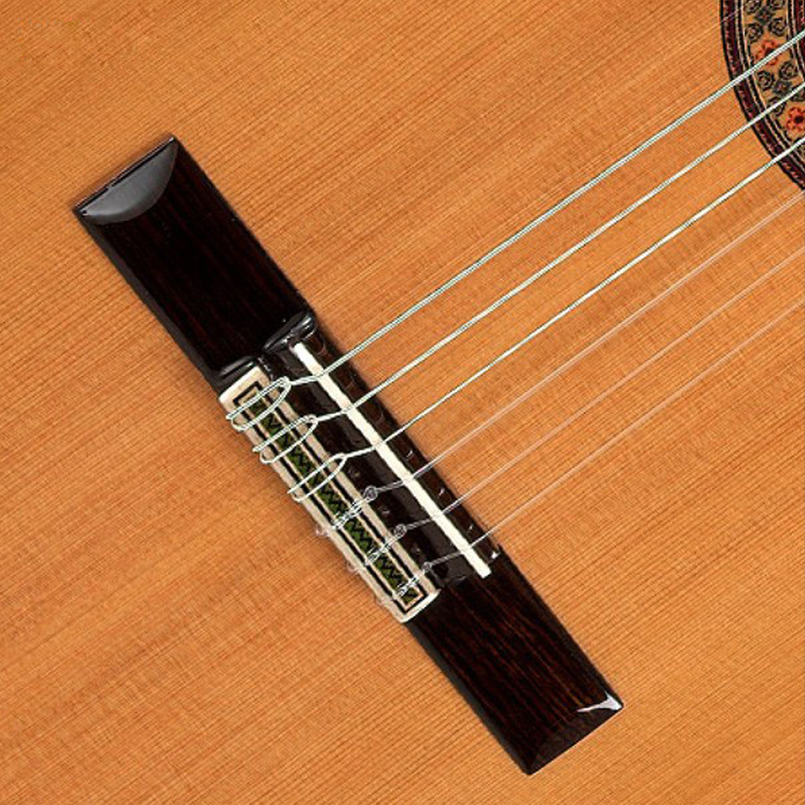 گیتار کلاسیک الحمبرا 10P