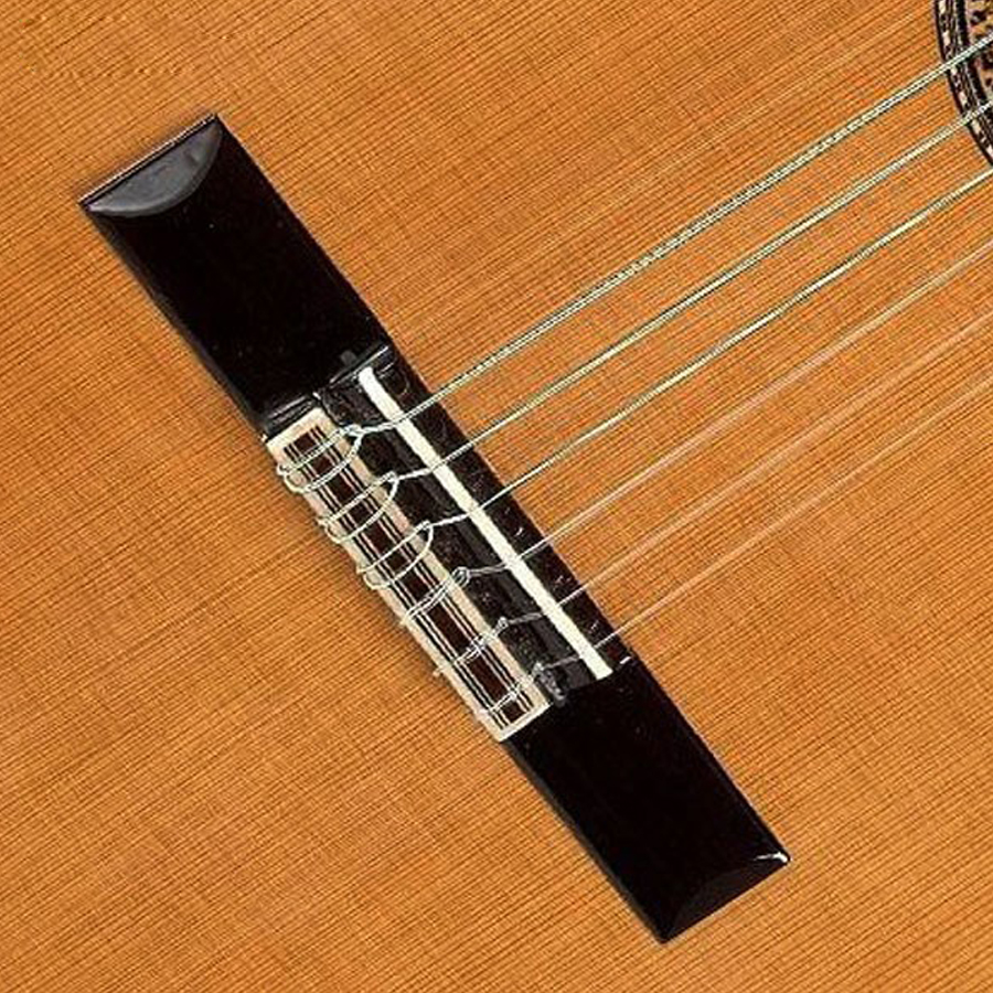 گیتار کلاسیک الحمبرا 6P