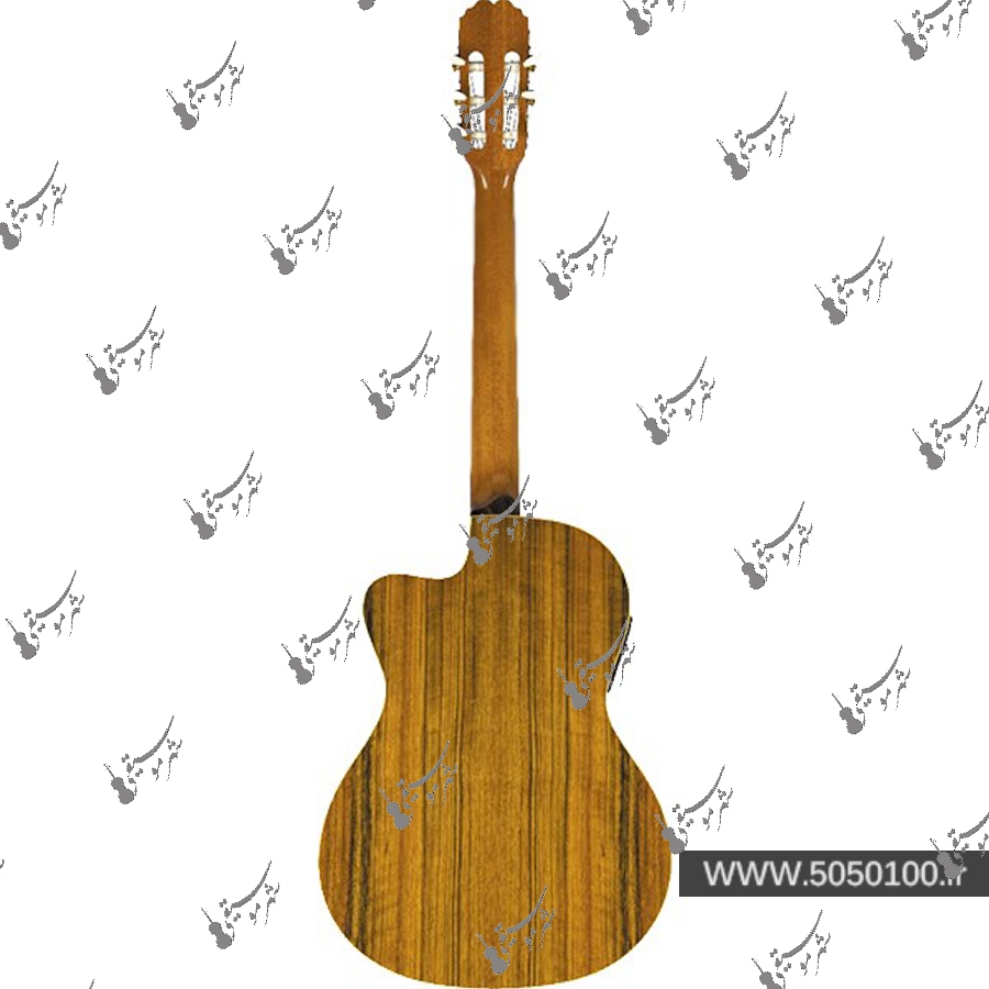 گیتار الکترو کلاسیک مانوئل رودریگز مدل Caballero 10 Cutaway